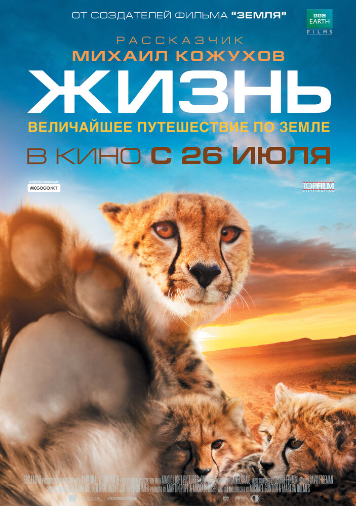 Жизнь (2011)